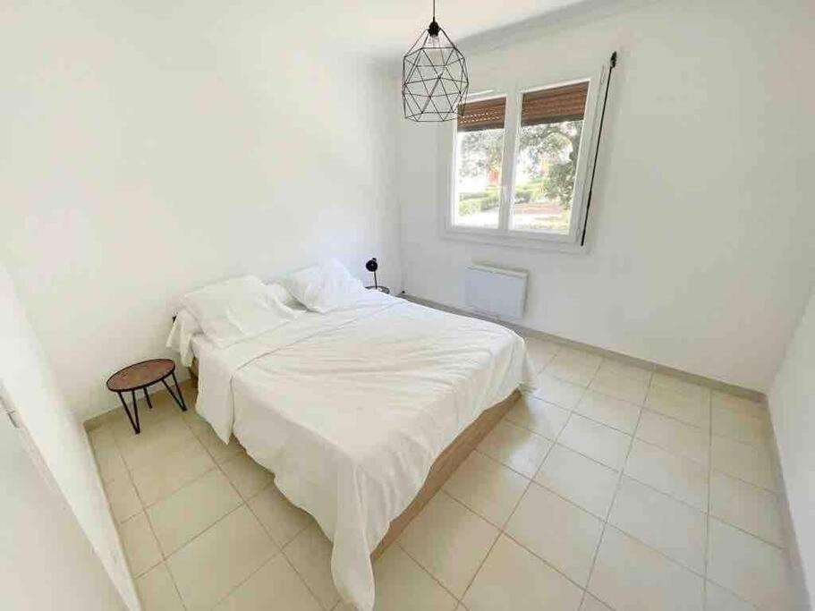 Appartement Spacieux Avec Parking Gratuit Sete Bagian luar foto